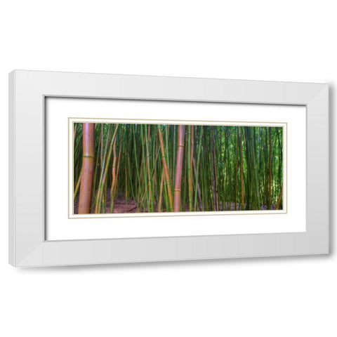 Bamboo White Modern Wood Framed Art Print with Double Matting by Bennion, Scott