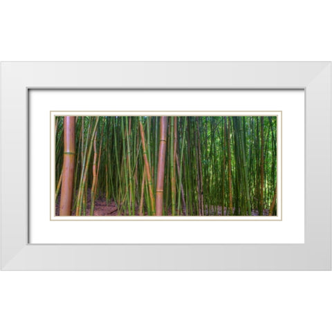 Bamboo White Modern Wood Framed Art Print with Double Matting by Bennion, Scott