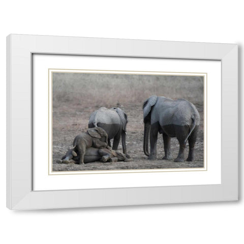 Brothers at Play White Modern Wood Framed Art Print with Double Matting by Bennion, Scott
