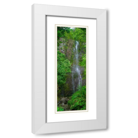 Maui Waterfall White Modern Wood Framed Art Print with Double Matting by Bennion, Scott