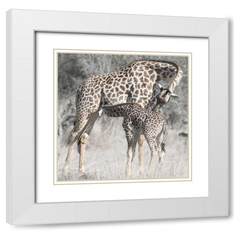 Mother and Daughter White Modern Wood Framed Art Print with Double Matting by Bennion, Scott