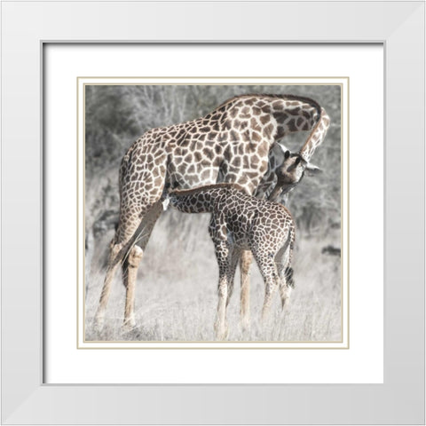 Mother and Daughter White Modern Wood Framed Art Print with Double Matting by Bennion, Scott