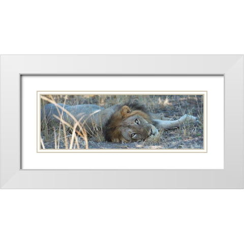 Napping With Open Eyes White Modern Wood Framed Art Print with Double Matting by Bennion, Scott