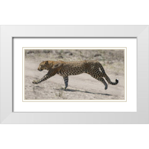 On The Run White Modern Wood Framed Art Print with Double Matting by Bennion, Scott