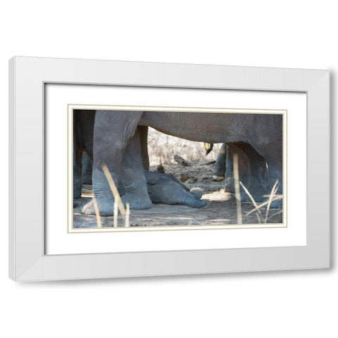Sleeping Baby White Modern Wood Framed Art Print with Double Matting by Bennion, Scott