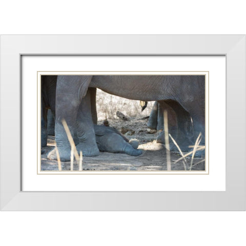 Sleeping Baby White Modern Wood Framed Art Print with Double Matting by Bennion, Scott