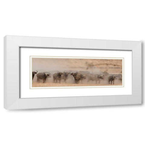 Spooked Buffalo White Modern Wood Framed Art Print with Double Matting by Bennion, Scott