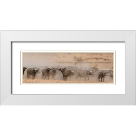 Spooked Buffalo White Modern Wood Framed Art Print with Double Matting by Bennion, Scott