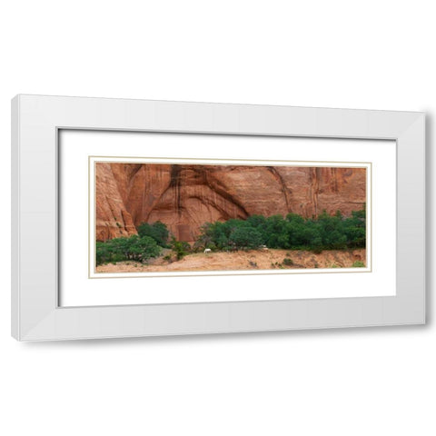 Wild Horses at Keet Seel White Modern Wood Framed Art Print with Double Matting by Bennion, Scott