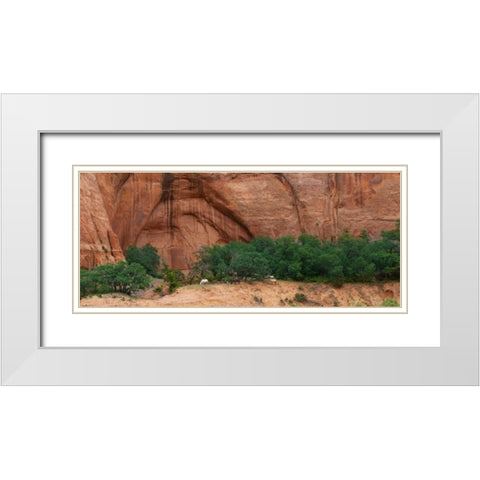 Wild Horses at Keet Seel White Modern Wood Framed Art Print with Double Matting by Bennion, Scott