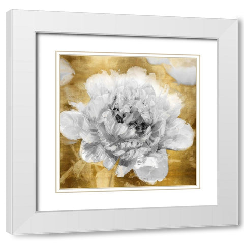 Solo on Gold I White Modern Wood Framed Art Print with Double Matting by Sullivan, Shawna