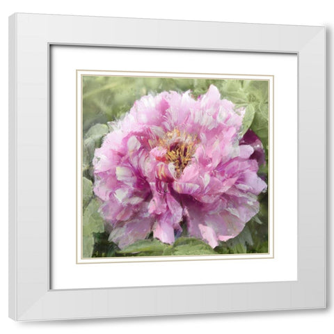Solo Pink II White Modern Wood Framed Art Print with Double Matting by Sullivan, Shawna
