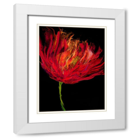 Red Tulips I White Modern Wood Framed Art Print with Double Matting by Austin, Vanessa