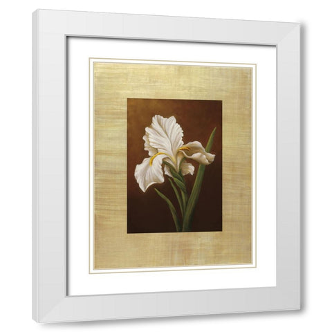 Fleur de Iris White Modern Wood Framed Art Print with Double Matting by Huntington, Virginia
