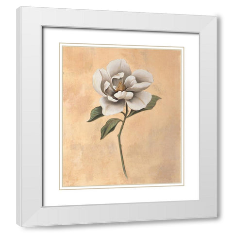 Magnolia White Modern Wood Framed Art Print with Double Matting by Huntington, Virginia