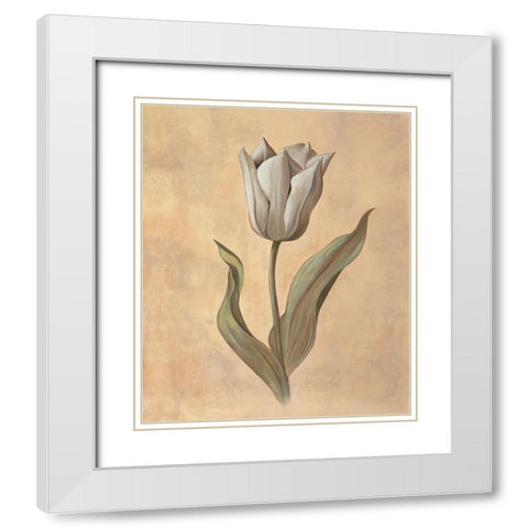 Tulip White Modern Wood Framed Art Print with Double Matting by Huntington, Virginia