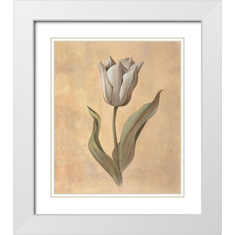 Tulip White Modern Wood Framed Art Print with Double Matting by Huntington, Virginia