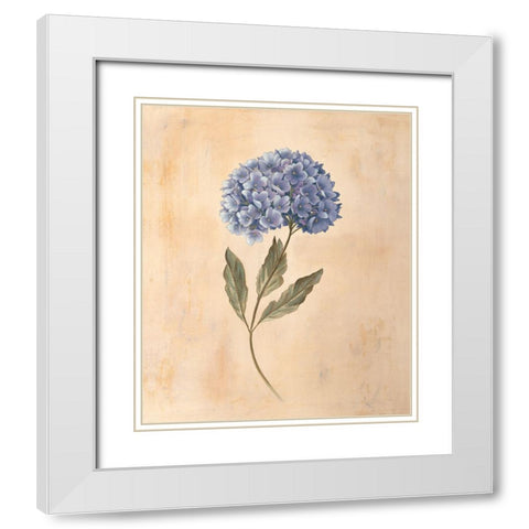 Hydrangea White Modern Wood Framed Art Print with Double Matting by Huntington, Virginia