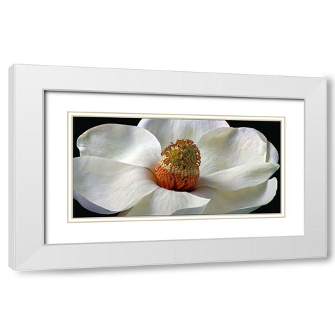 Southern Magnolia White Modern Wood Framed Art Print with Double Matting by Reynolds, Richard