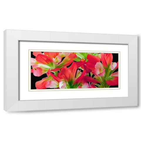 Indian Paintbrush White Modern Wood Framed Art Print with Double Matting by Reynolds, Richard
