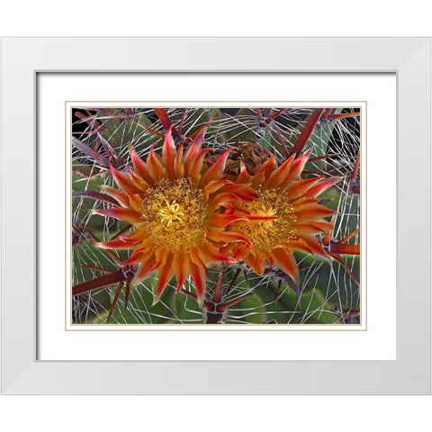 Herrerrae White Modern Wood Framed Art Print with Double Matting by Reynolds, Richard