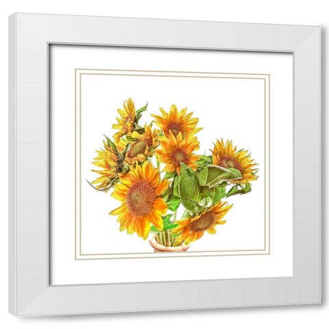Sunflowers White Modern Wood Framed Art Print with Double Matting by Reynolds, Richard