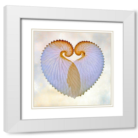 Paper Nautilus 1 White Modern Wood Framed Art Print with Double Matting by Reynolds, Richard