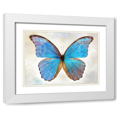 GodartS Morpho White Modern Wood Framed Art Print with Double Matting by Reynolds, Richard