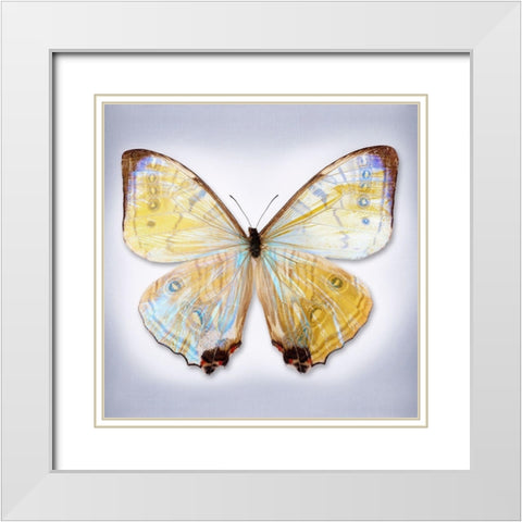 Sulkowski Blue White Modern Wood Framed Art Print with Double Matting by Reynolds, Richard