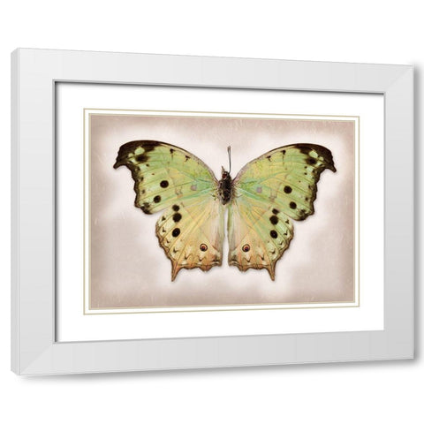 Forest Mother-Of-Pearl White Modern Wood Framed Art Print with Double Matting by Reynolds, Richard