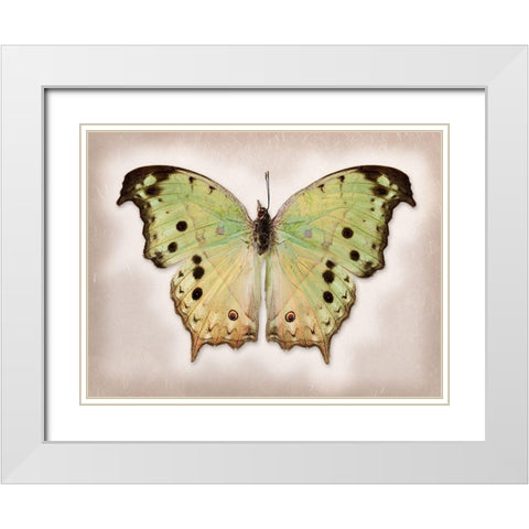 Forest Mother-Of-Pearl White Modern Wood Framed Art Print with Double Matting by Reynolds, Richard