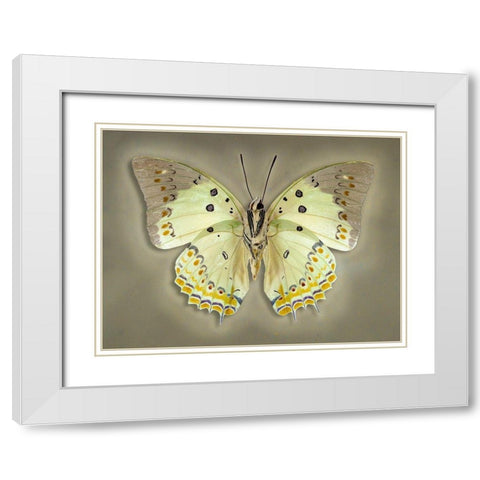 Jewelled Nawab White Modern Wood Framed Art Print with Double Matting by Reynolds, Richard