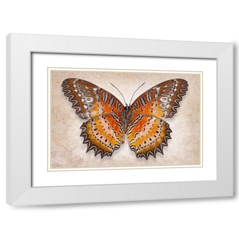 Red Laceing White Modern Wood Framed Art Print with Double Matting by Reynolds, Richard