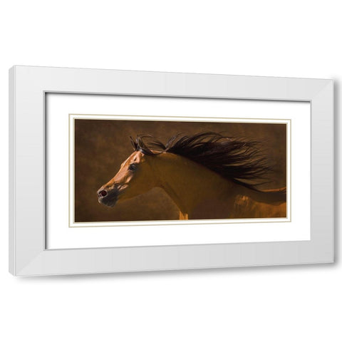 Arabian Runner White Modern Wood Framed Art Print with Double Matting by Dawson, Robert