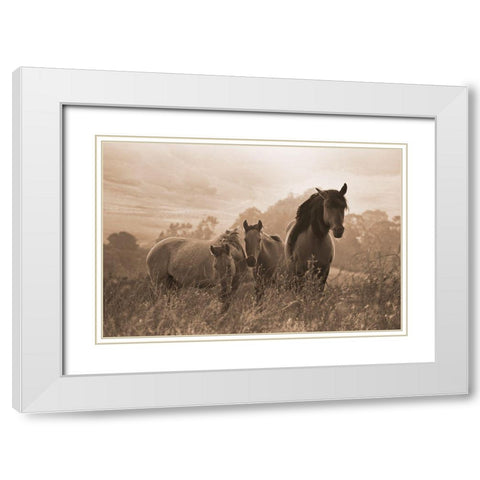 One Spring Morning White Modern Wood Framed Art Print with Double Matting by Dawson, Robert