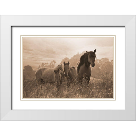 One Spring Morning White Modern Wood Framed Art Print with Double Matting by Dawson, Robert
