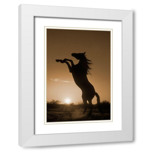 Rearing Horse Silhouette White Modern Wood Framed Art Print with Double Matting by Dawson, Robert