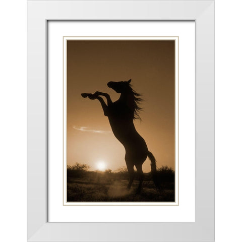Rearing Horse Silhouette White Modern Wood Framed Art Print with Double Matting by Dawson, Robert