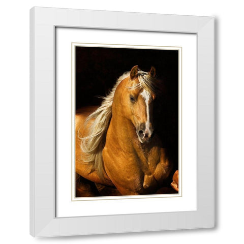 Sherrys Boy White Modern Wood Framed Art Print with Double Matting by Dawson, Robert