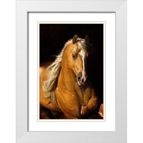 Sherrys Boy White Modern Wood Framed Art Print with Double Matting by Dawson, Robert