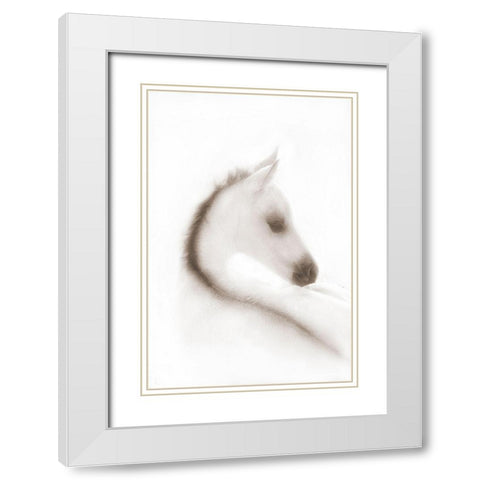 Snow White White Modern Wood Framed Art Print with Double Matting by Dawson, Robert