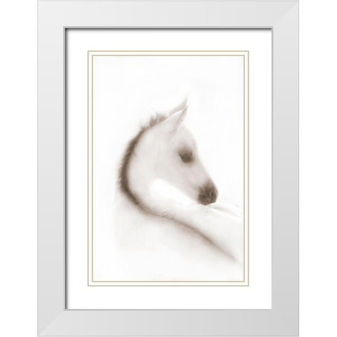 Snow White White Modern Wood Framed Art Print with Double Matting by Dawson, Robert