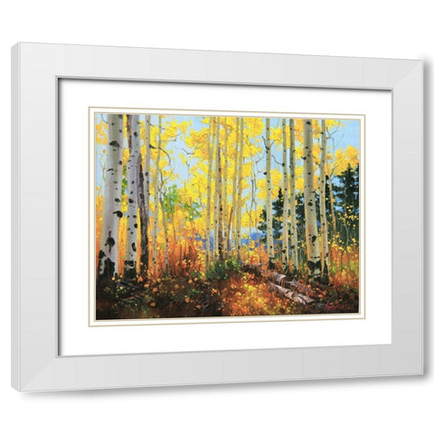 Castle Creek Trail White Modern Wood Framed Art Print with Double Matting by Kim, Gary