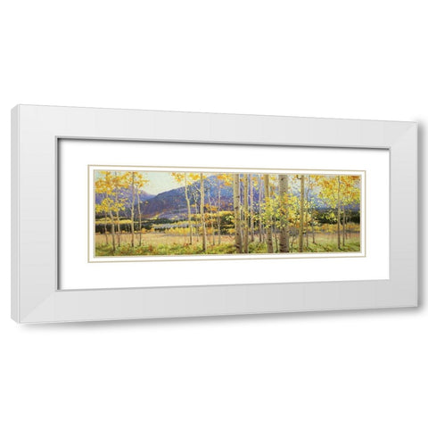 Aspen Beauty White Modern Wood Framed Art Print with Double Matting by Kim, Gary