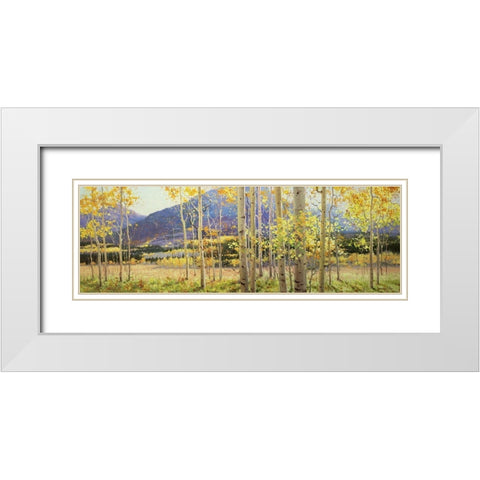 Aspen Beauty White Modern Wood Framed Art Print with Double Matting by Kim, Gary
