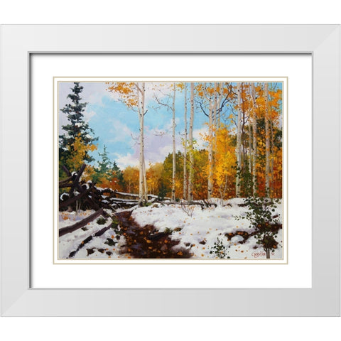 Aspen Vista Snow White Modern Wood Framed Art Print with Double Matting by Kim, Gary