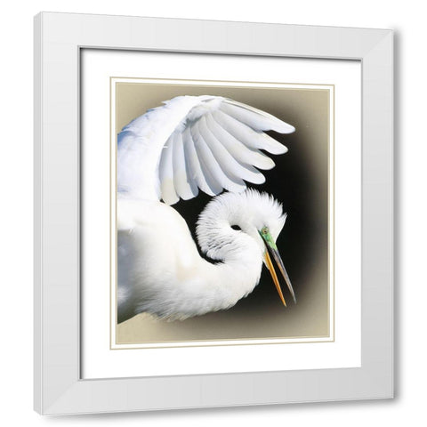 Great Egret Portrait White Modern Wood Framed Art Print with Double Matting by Brown, Jim