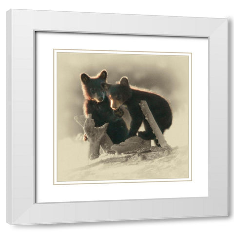 Morning Playtime White Modern Wood Framed Art Print with Double Matting by Brown, Jim
