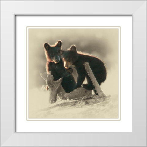 Morning Playtime White Modern Wood Framed Art Print with Double Matting by Brown, Jim