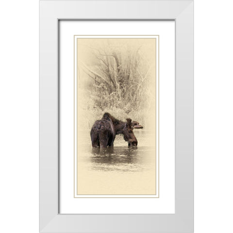 Moose II White Modern Wood Framed Art Print with Double Matting by Brown, Jim